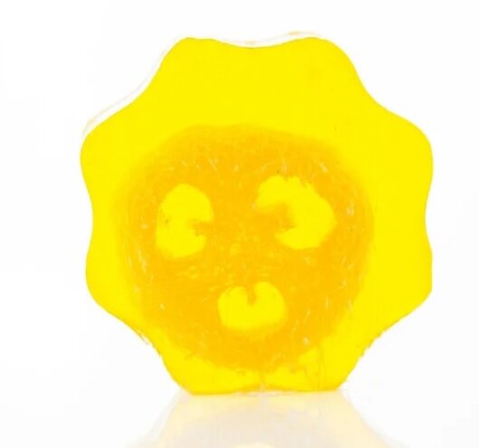 Loofah Scrub Zeep - Grapefruit - Medase